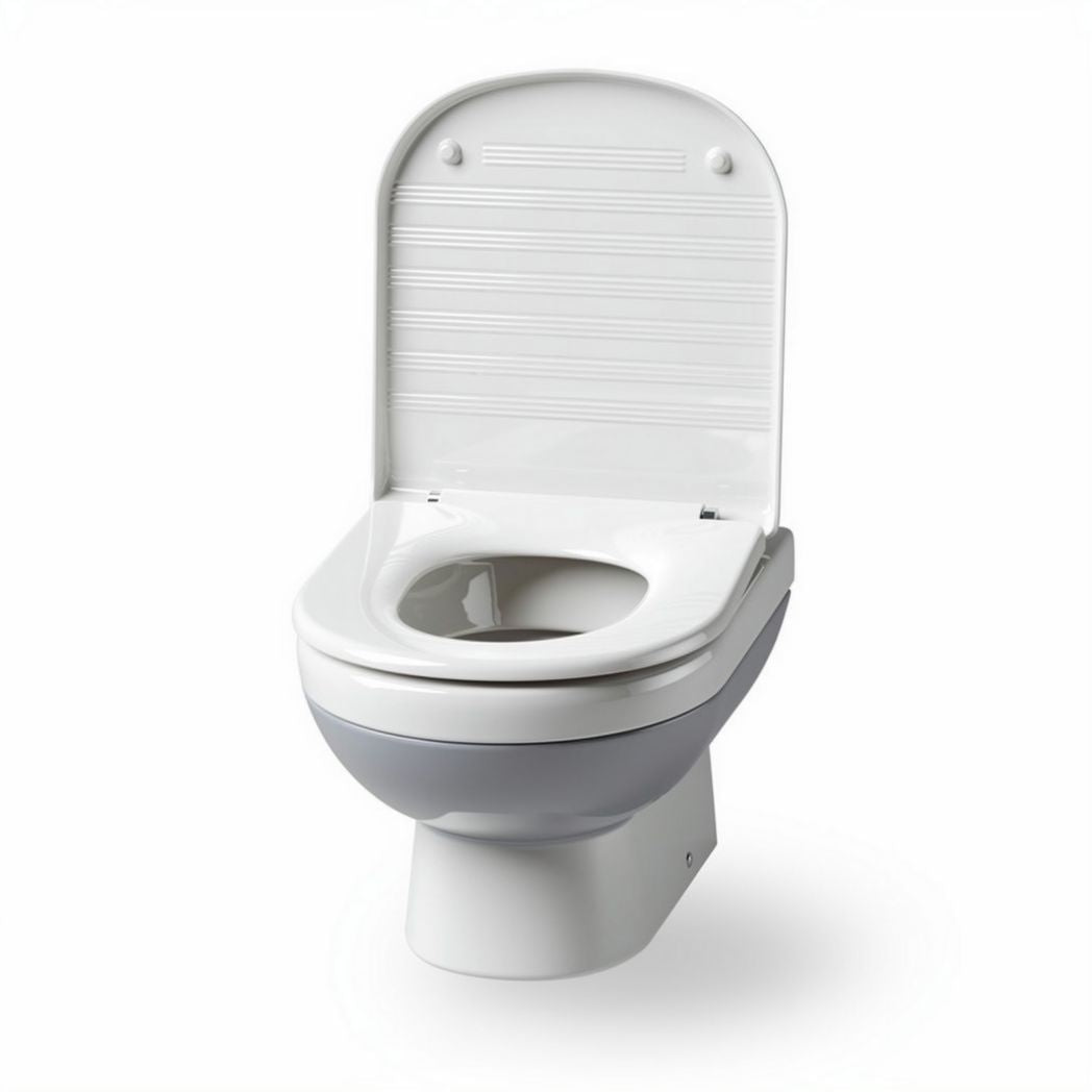 Toilette en céramique blanche pour installation murale dimensions 70 x 40 x 40 cm