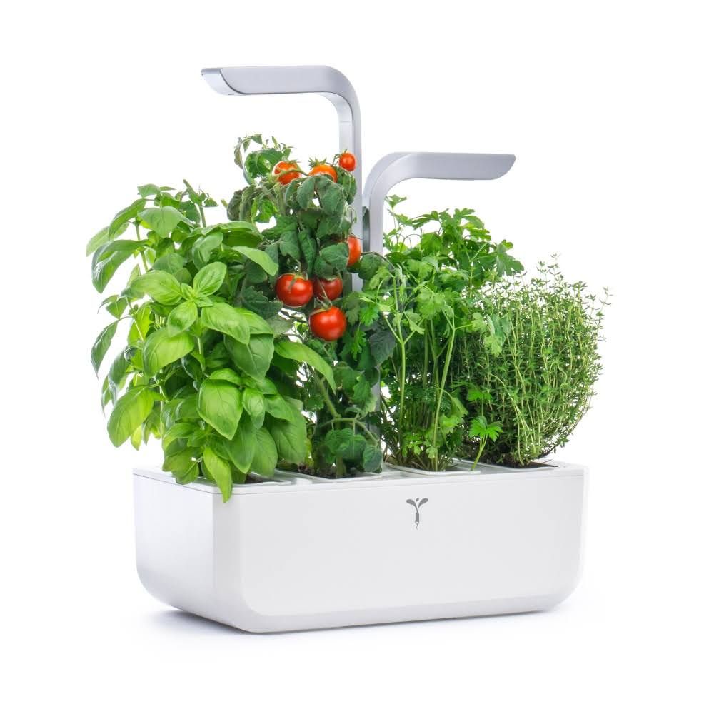Potager d'intérieur autonome Véritable SMART Arctic White 4 plantes Made in France(Blanc)
